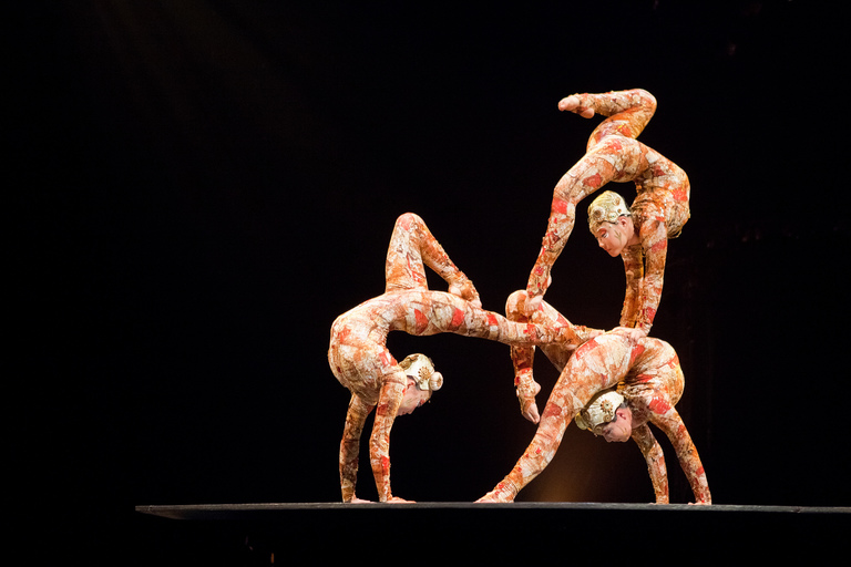 Is Cirque du Soleil Taking Over the World??