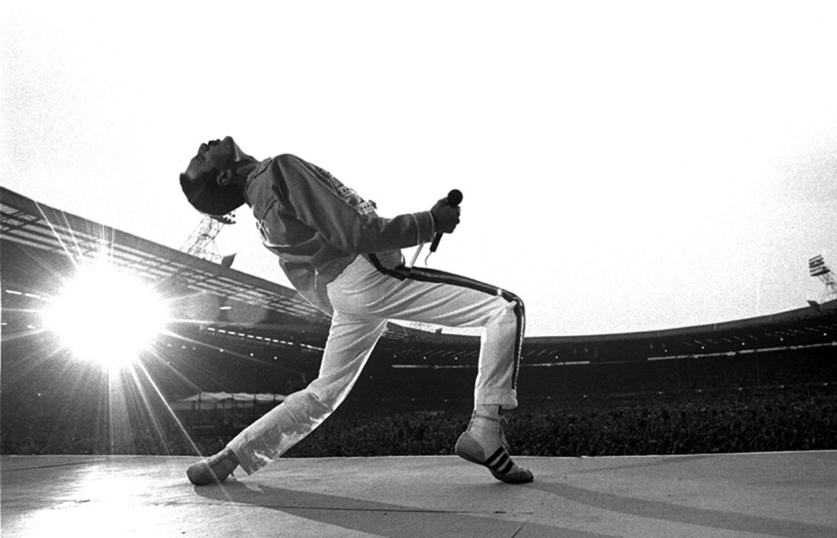 Happy Birthday Freddie